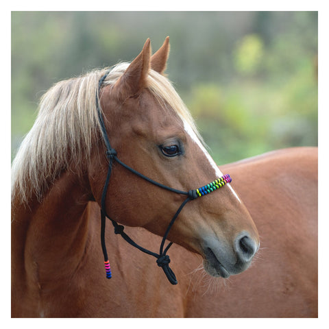 Passion 4Q Knotenhalfter