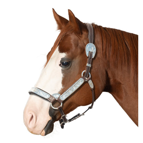 Passion 4Q Showhalfter mit Polsterung