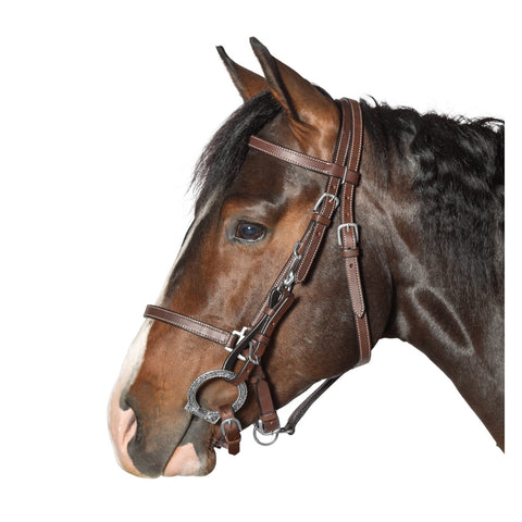 L-pro West Wanderreittrense