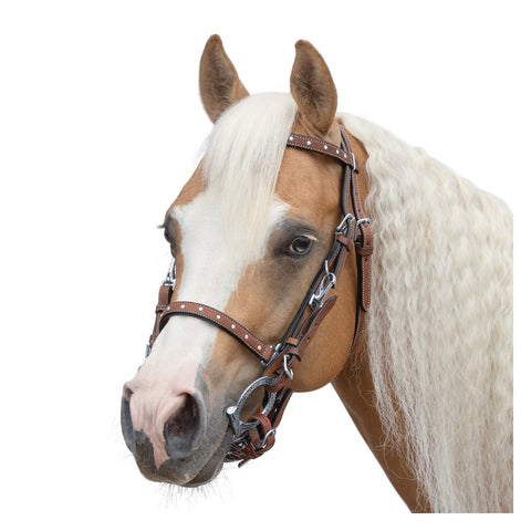 L-pro West Wanderreittrense mit Steinchen