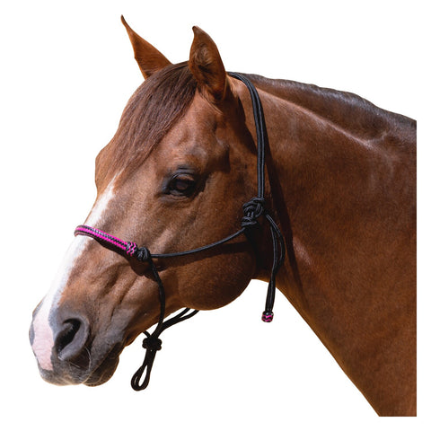 Passion 4Q Knotenhalfter mit Rohhaut