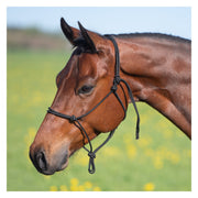 Passion 4Q Knotenhalfter