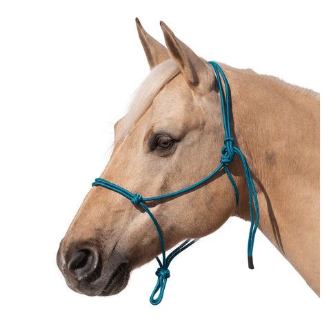 Passion 4Q Knotenhalfter