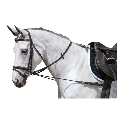 Loesdau Ausbindezügel