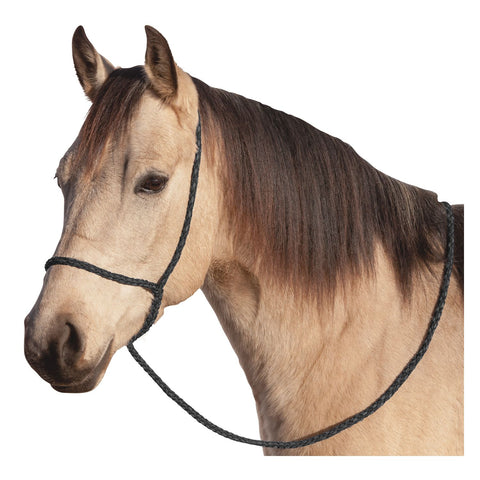 BROCKAMP Halfter Onesize