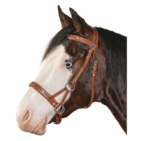 L-pro West Sidepull mit Nieten und Glitzersteinen