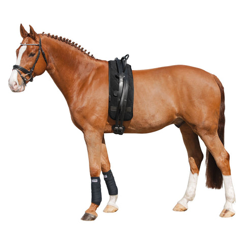 Loesdau Longiergurt mit Griffen