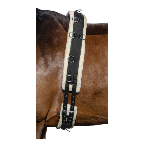 Horse-friends Longiergurt Comfort