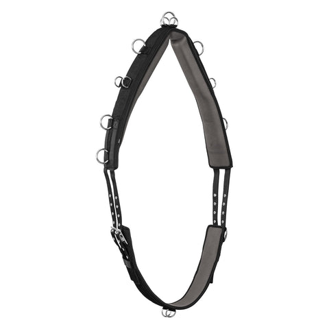 Horse-friends Longiergurt