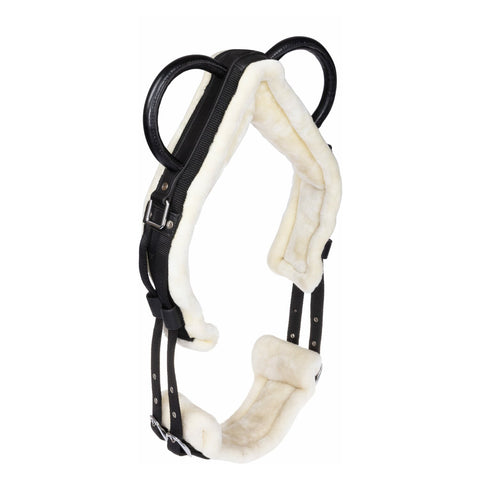 Horse-friends Longiergurt Forli