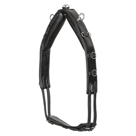 Loesdau Longiergurt Spezial