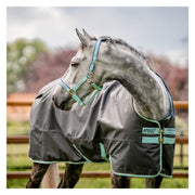 HORSEWARE Halfter Fieldsafe