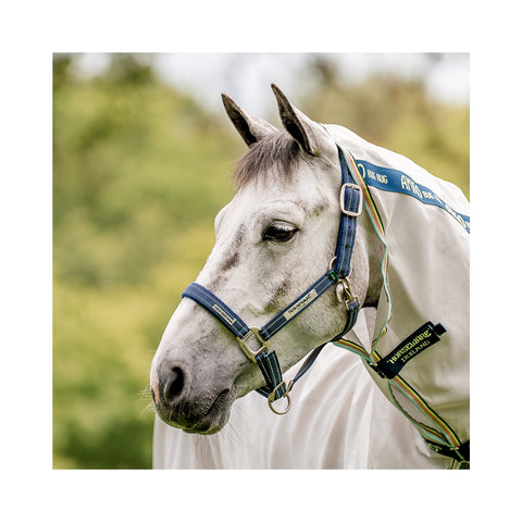 HORSEWARE Halfter Fieldsafe