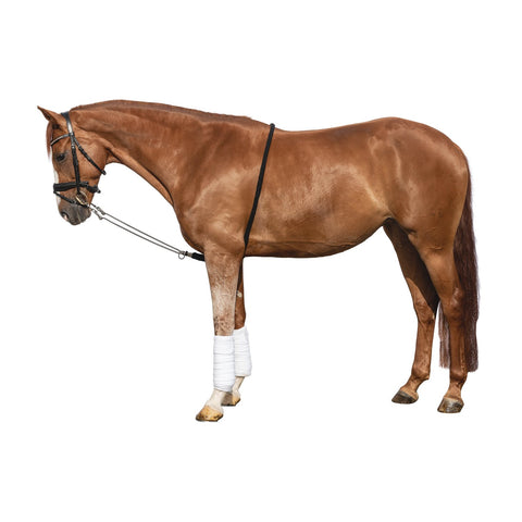 EQUEST Longierhilfe Profi