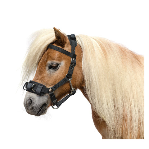 Horse-friends Kappzaum für Shettys