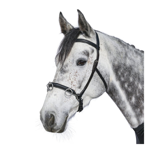 Loesdau Kappzaum Fortaleza