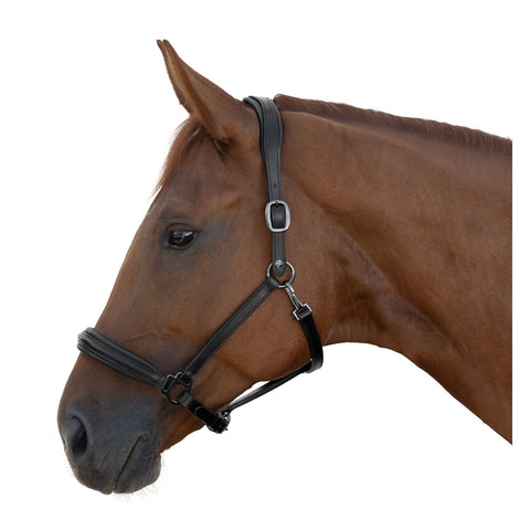 MONTIVUM Lederhalfter