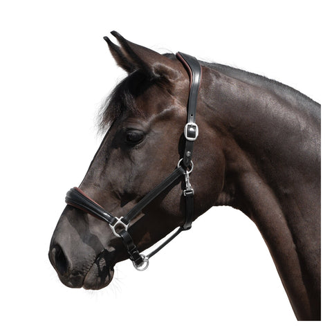 Cheval de Luxe Lederhalfter