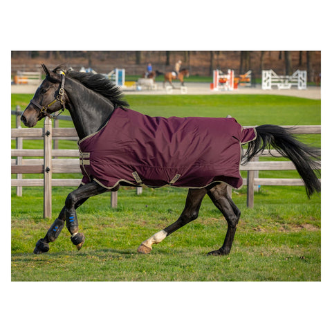 Horseware Outdoordecke AMIGO Hero Ripstop 100 g