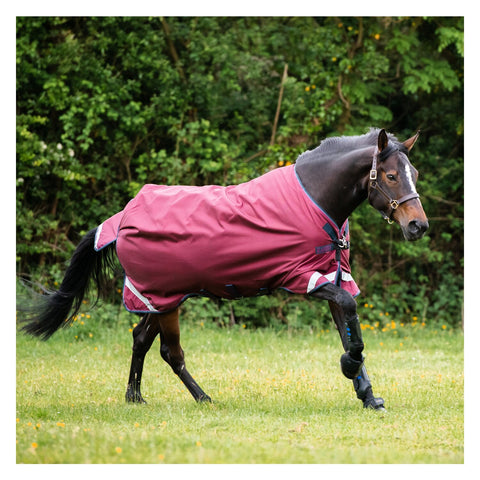 HORSEWARE Outdoordecke RAMBO Original Lite