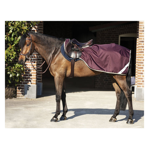 HORSEWARE Ausreitdecke AMIGO Competition Sheet