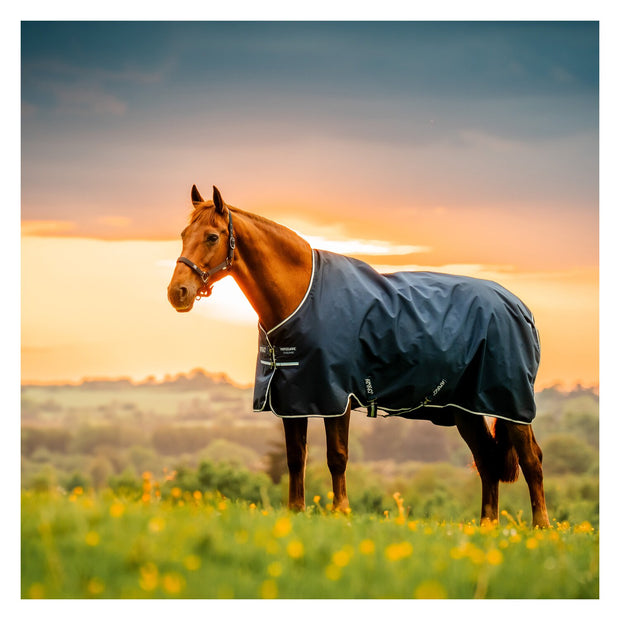 HORSEWARE Weidedecke AMIGO Ripstop 900 Denier, ohne Füllung