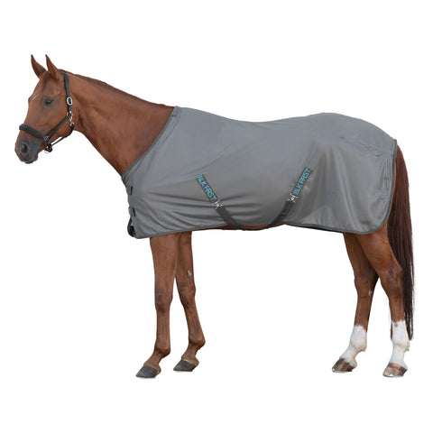 black forest Fliegendecke