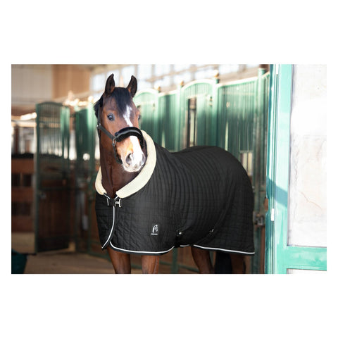 Cheval de Luxe Stalldecke Nantes