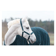 ABSCHWITZDECKE BARI RIDE NOW