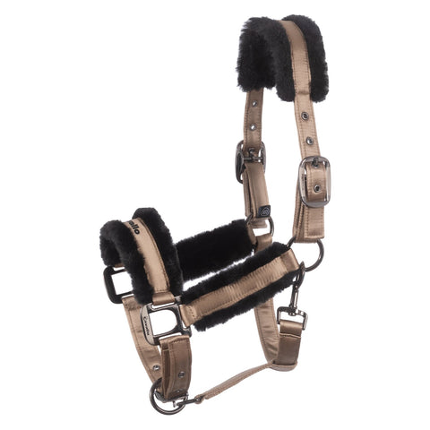 Cavallo Halfter CAVALJERO