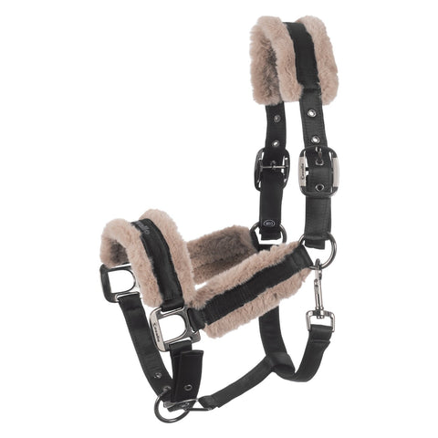 Cavallo Halfter CAVALJERO