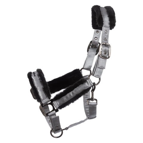 Cavallo Halfter CAVALJERO