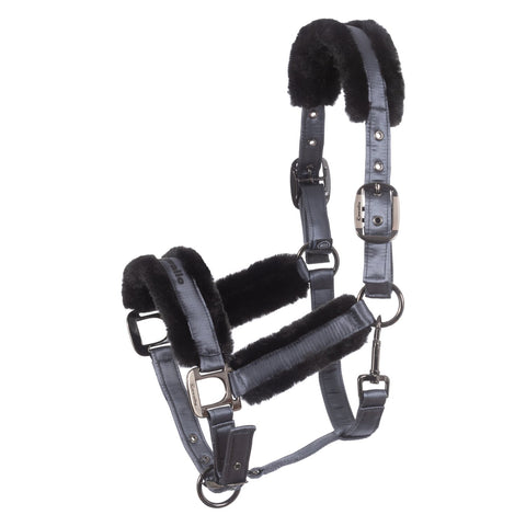 Cavallo Halfter CAVALJERO