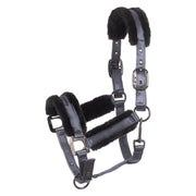 Cavallo Halfter CAVALJERO