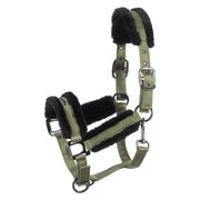 Cavallo Halfter CAVALJERO