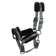 Cavallo Halfter CAVALJERO