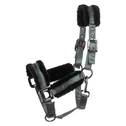 Cavallo Halfter CAVALJERO