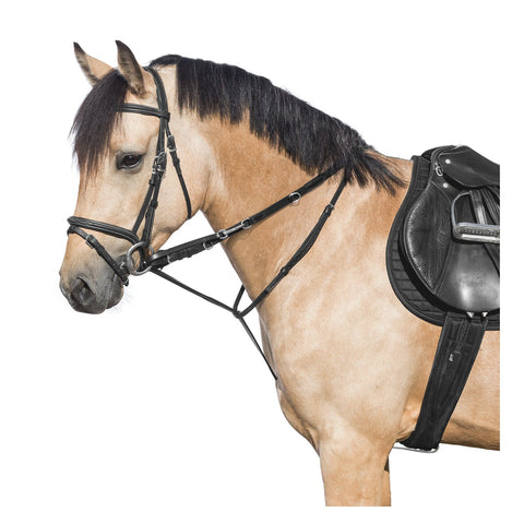 MONTIVUM Thiedemann Springkombination