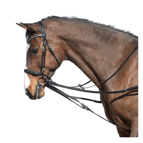 MONTIVUM Dreieckszügel