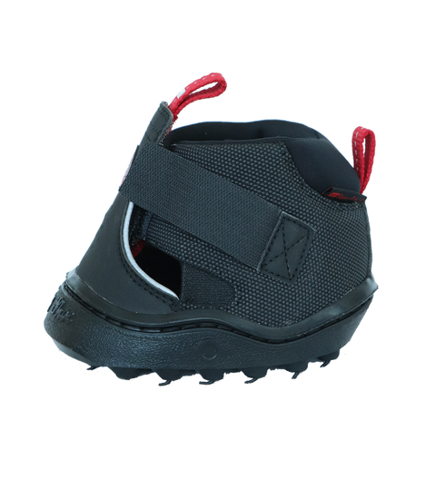 Equine Fusion® Trekking Shoe