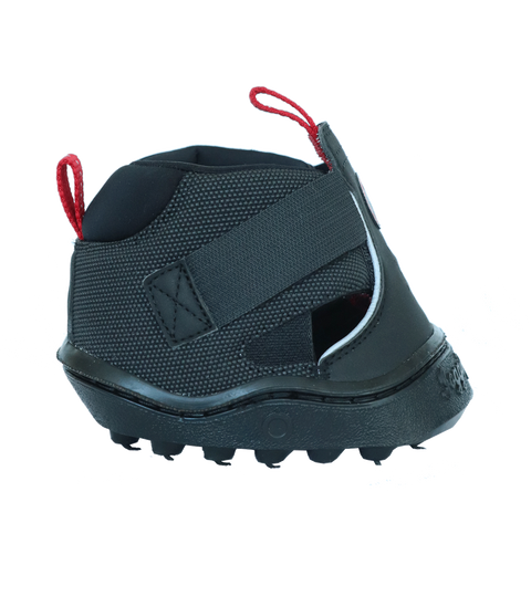 Equine Fusion® Trekking Shoe