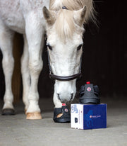 Equine Fusion® Trekking Shoe