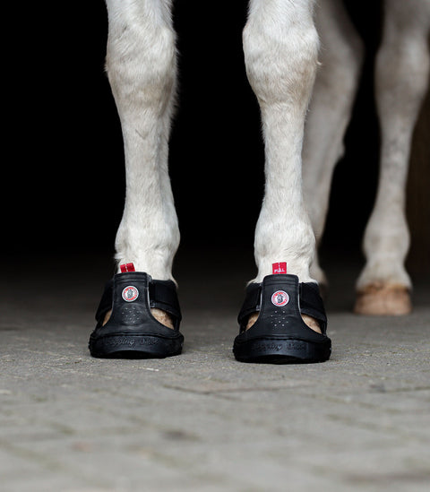 Equine Fusion® Trekking Shoe
