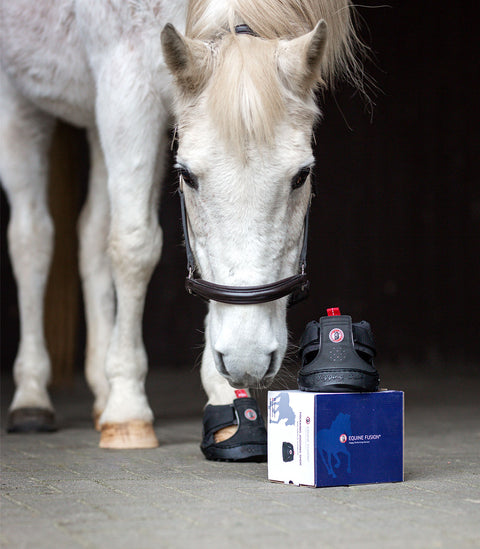 Equine Fusion® Trekking Shoe Slim