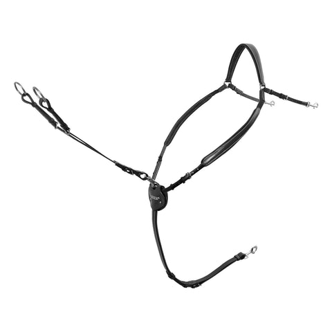 Passier Vorderzeug Marcus Ehning