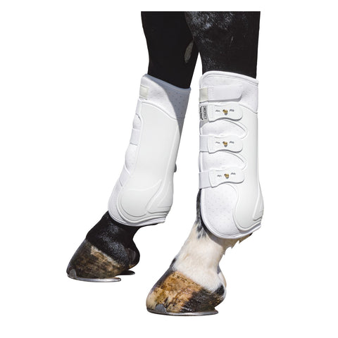 PROTECT by Horse-friends Dressurgamaschen Amadora H, hinten