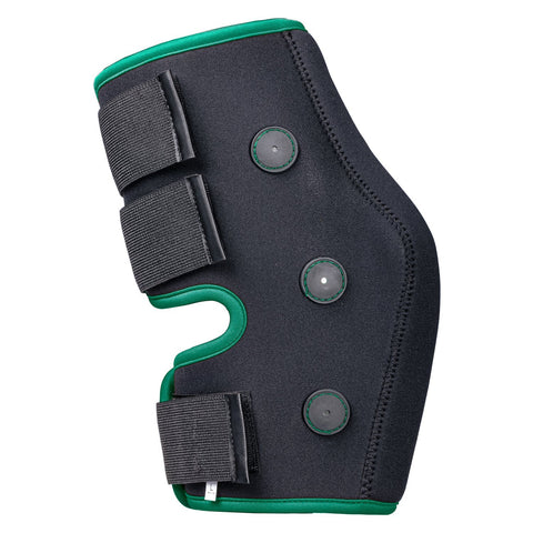 PROTECT by Horse-Friends Sprunggelenkschoner Magnetic, hinten