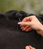 Mähnen Einflecht Set