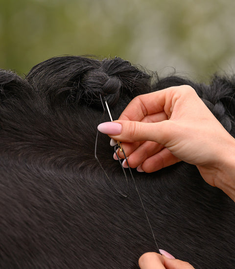 Mähnen Einflecht Set