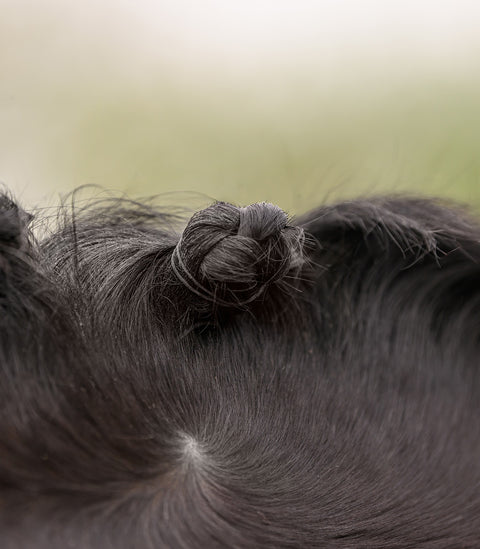 Mähnen Einflecht Set